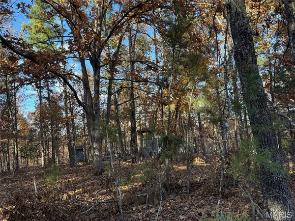 $35,000 | 0 Madison Street, Silva, MO 63964