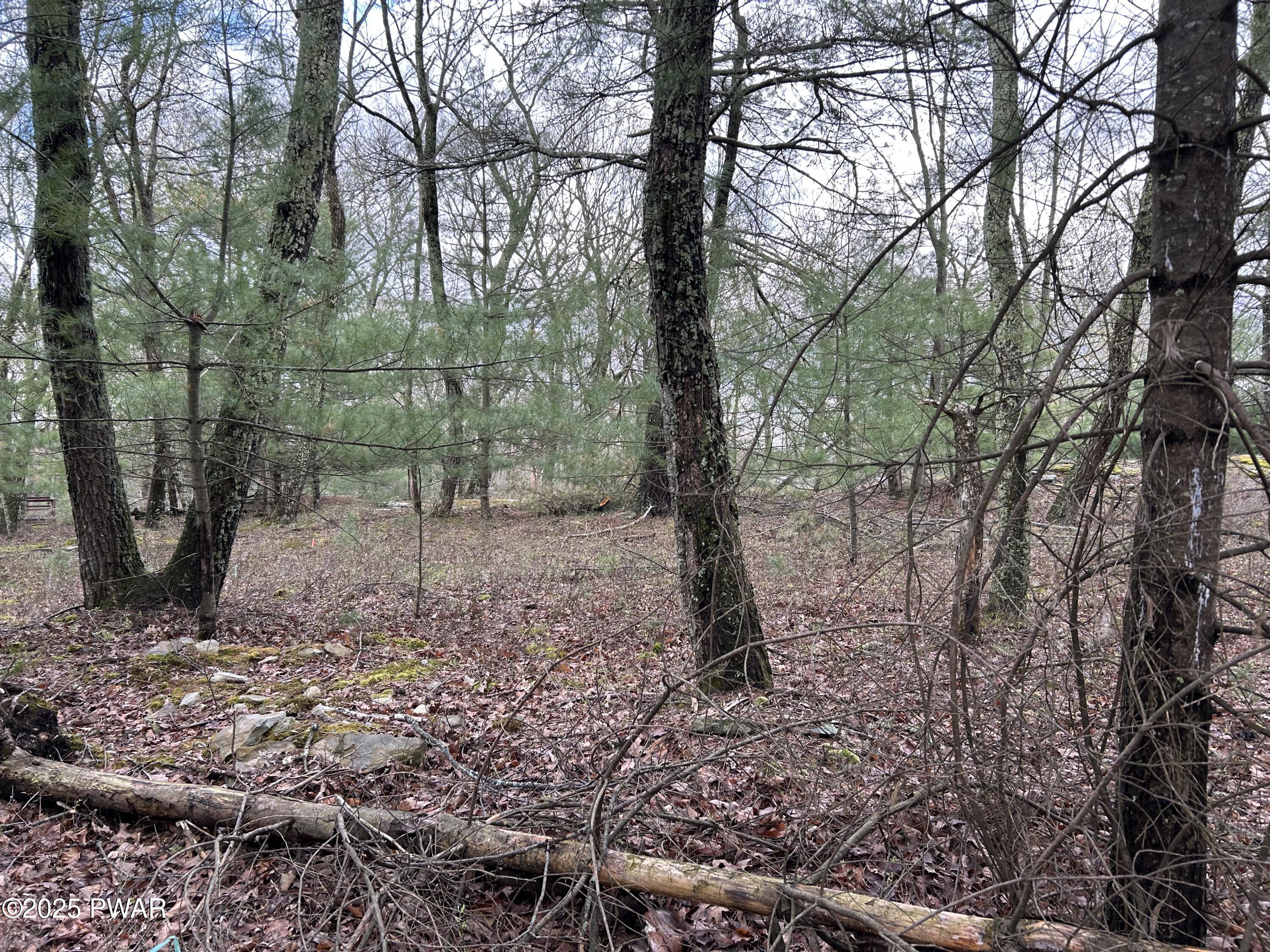 Lot 129 Pitch Pine Road Dingmans Ferry, PA 18328 - Photo 2 of 13