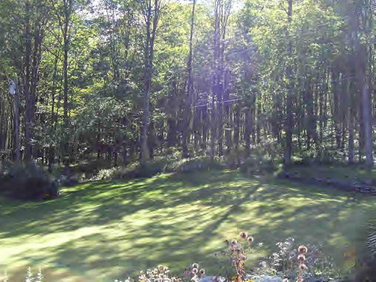 112 Bailey Road Lanesborough, MA 01237 - Photo 6 of 6 a view of yard