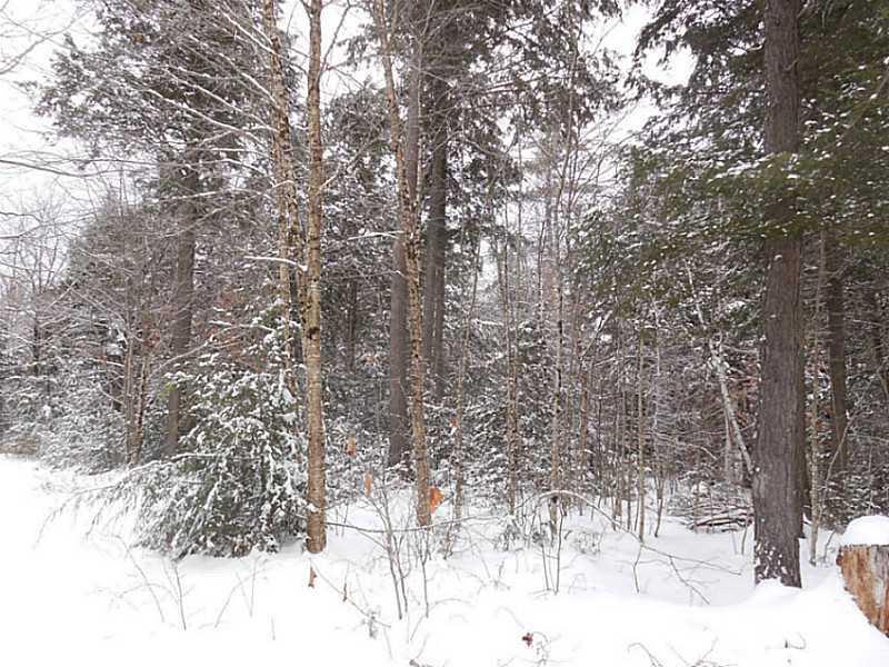 Lot #1 Off South Road Parsonsfield, ME 04047 - Photo 22 of 35 Land.