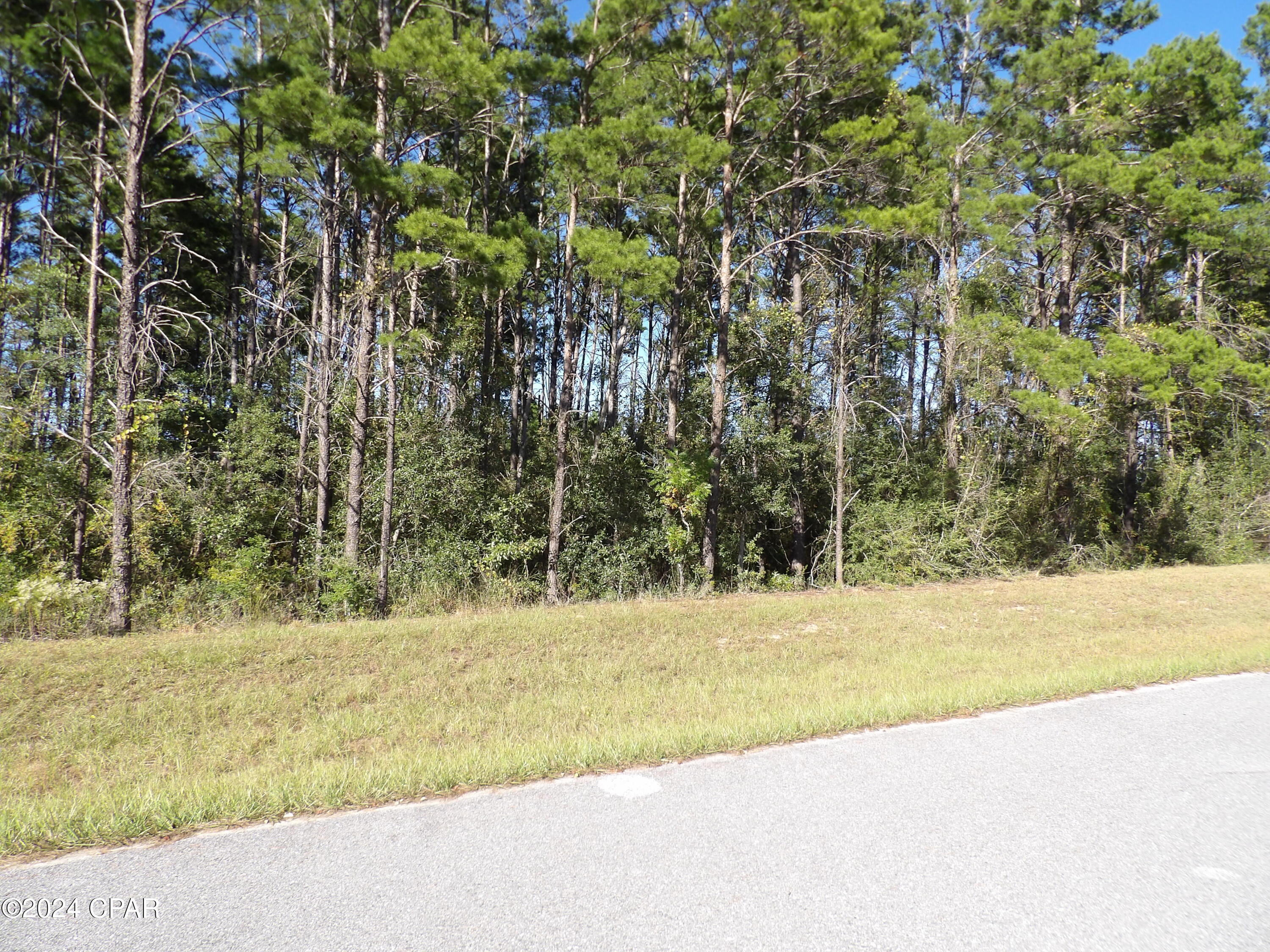 14723 Bream Pond Road Panama City, FL 32409 - Photo 11 of 25 Gallery Image 11