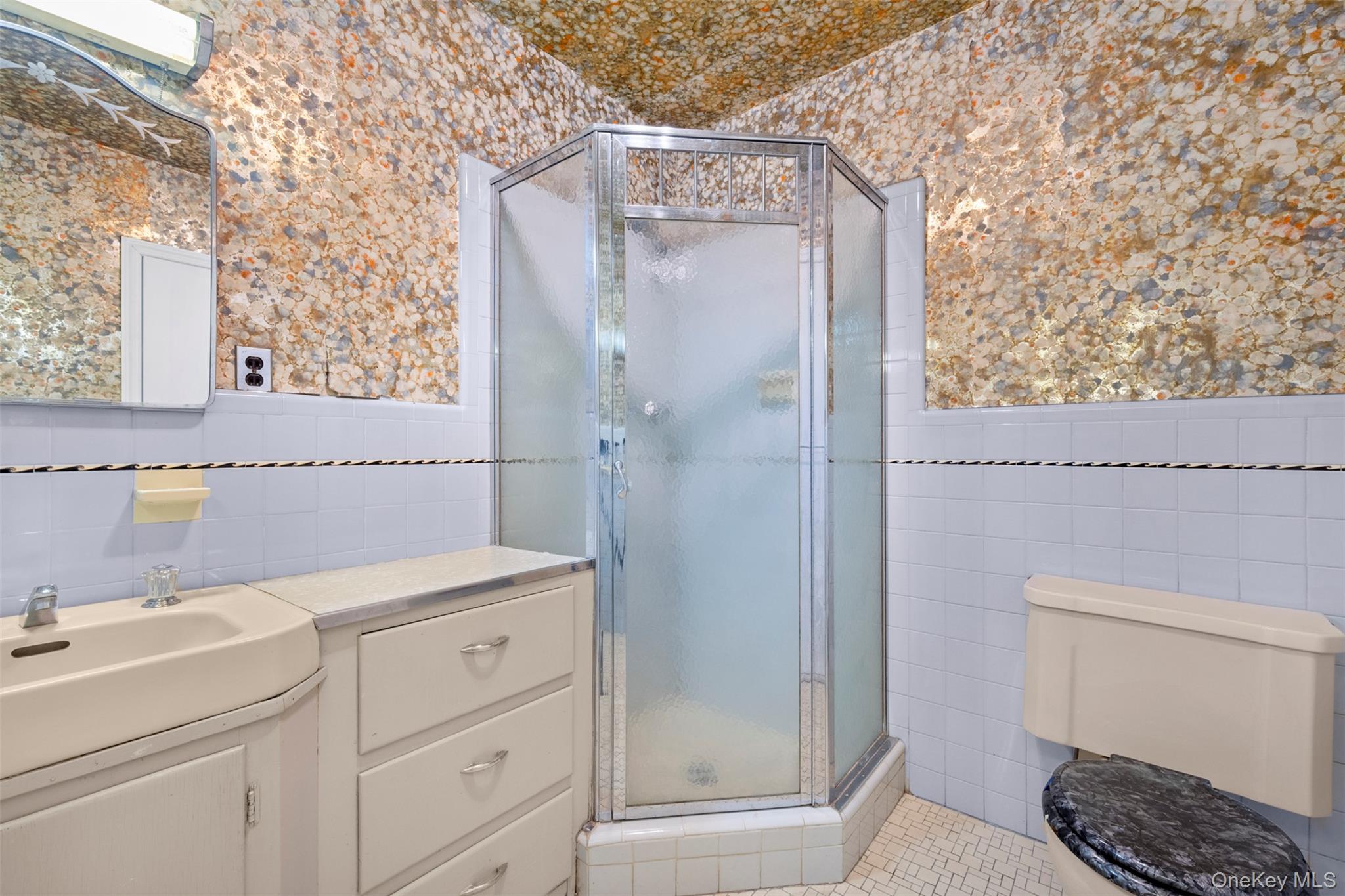 66 Deepdale Drive Great Neck, NY 11021 - Photo 31 of 48 a bathroom with a sink a toilet and shower