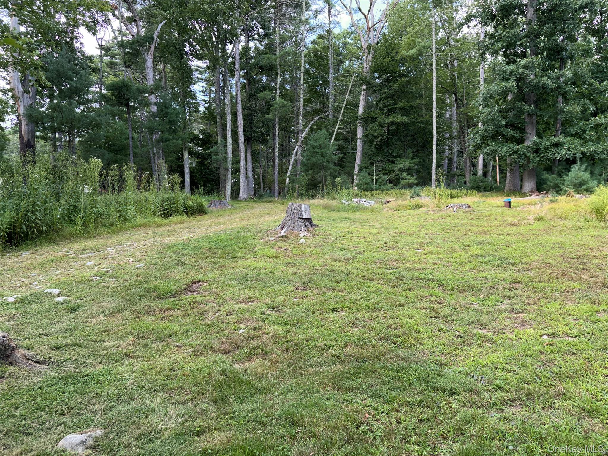 6 Walter's Farm Road Yulan, NY 12792 - Photo 30 of 30 Gallery Image 30