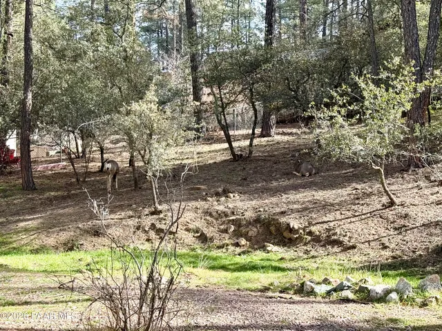 $2,300 | 841 East Pine Knoll Drive, Prescott, AZ 86303