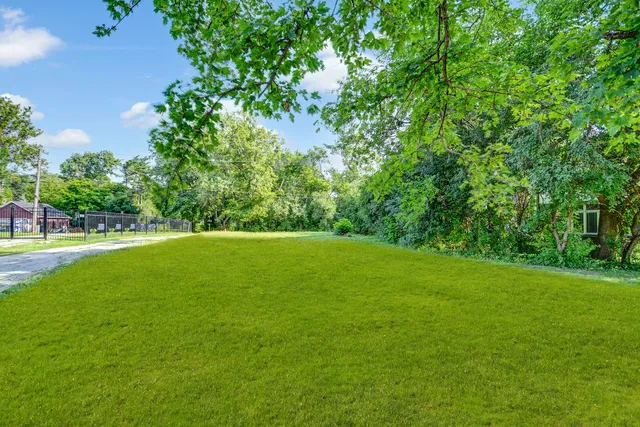 a view of a grassy field with trees