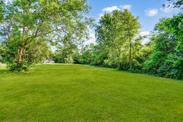 a view of field with trees in the background