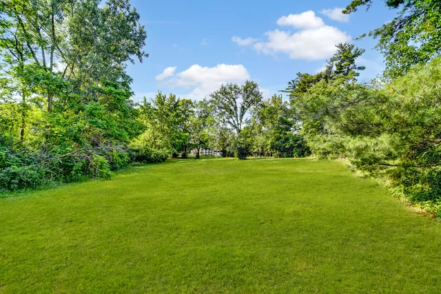 a view of a field of grass and trees