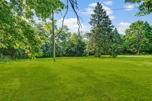a view of a yard with a tree