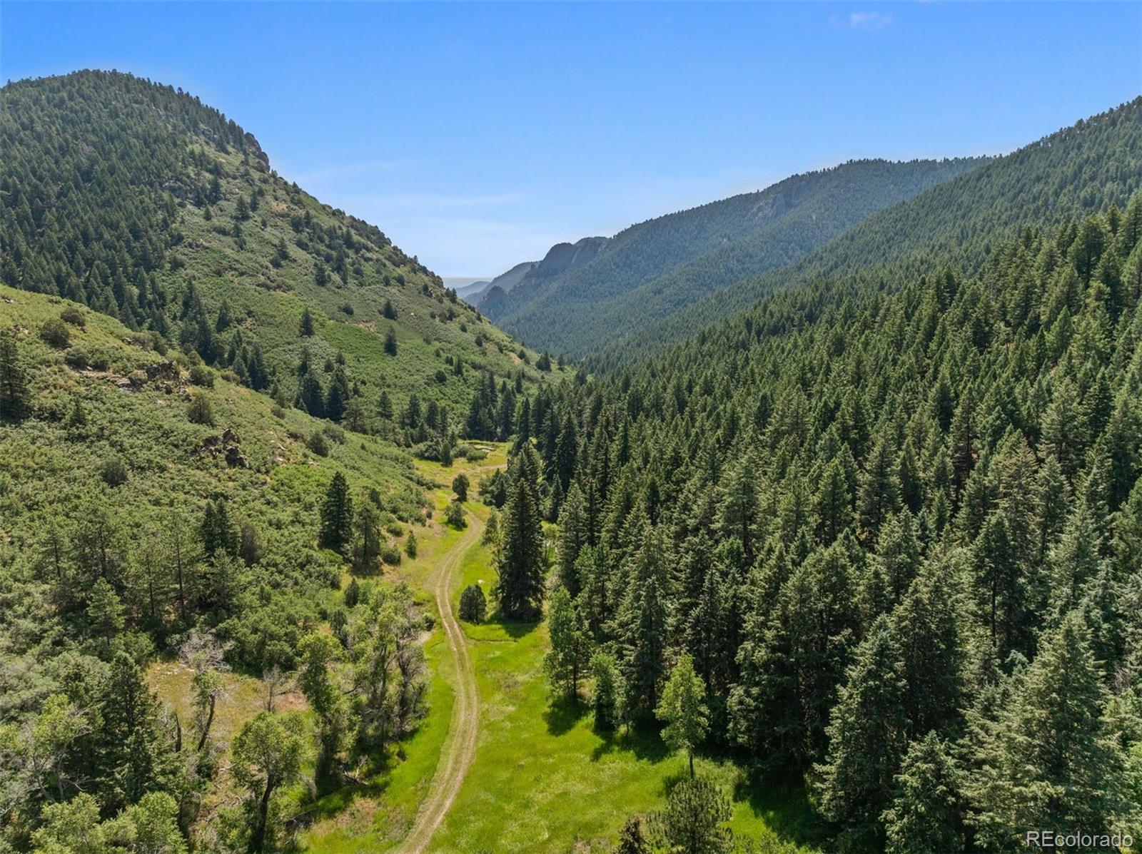 12954 South Kuehster Road Littleton, CO 80127 - Photo 13 of 43 a view of a forest with a mountain