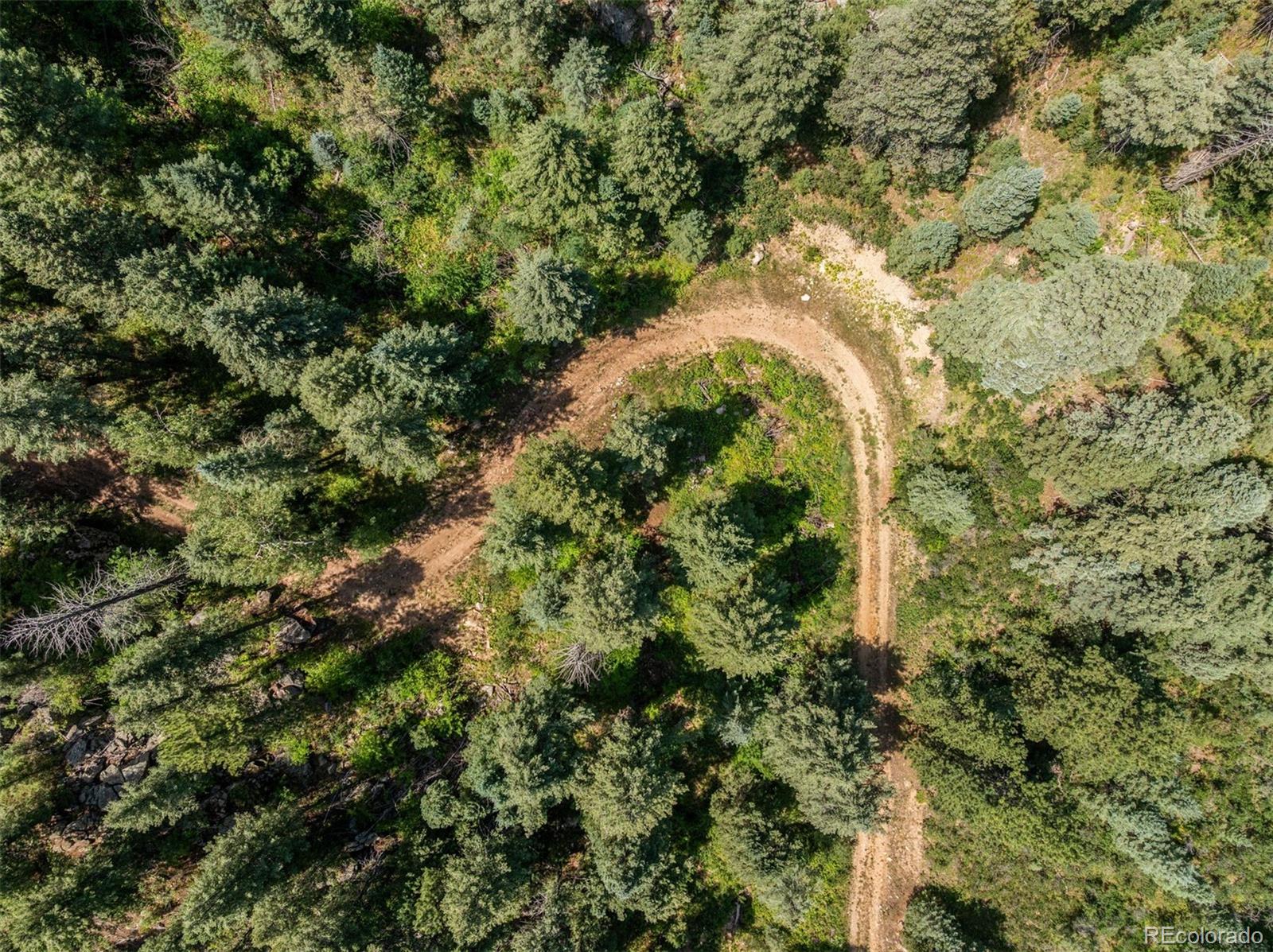 12954 South Kuehster Road Littleton, CO 80127 - Photo 30 of 43 a view of a garden with plants