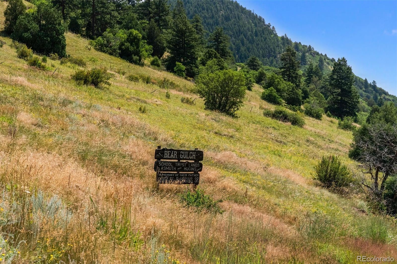 12954 South Kuehster Road Littleton, CO 80127 - Photo 40 of 43 a view of a yard with plants and large trees