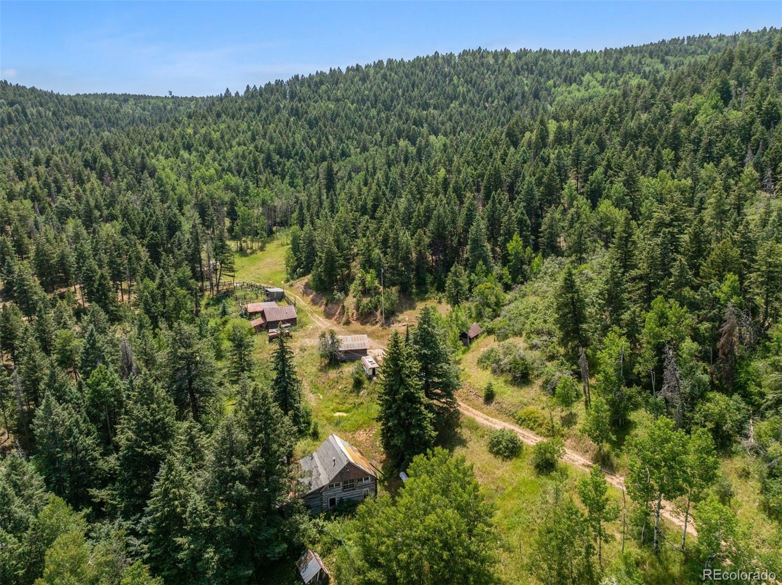 12954 South Kuehster Road Littleton, CO 80127 - Photo 41 of 43 a view of a forest with a house