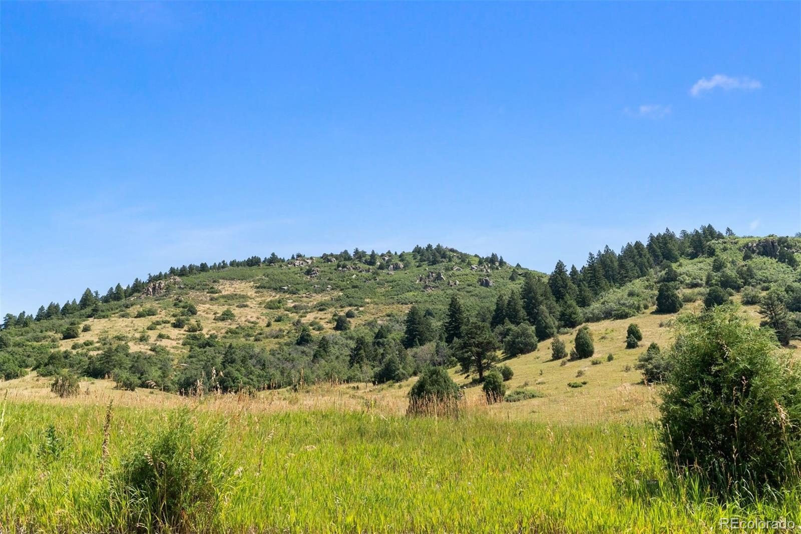 12954 South Kuehster Road Littleton, CO 80127 - Photo 6 of 43 a view of a lake with a mountain in the background