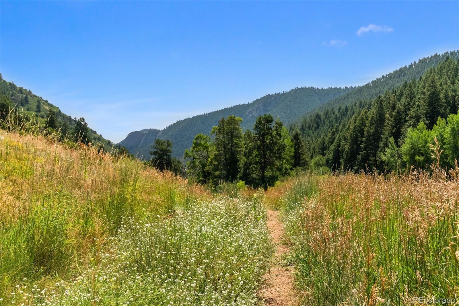 12954 South Kuehster Road Littleton, CO 80127 - Photo 7 of 43 a view of a lake with a mountain in the background