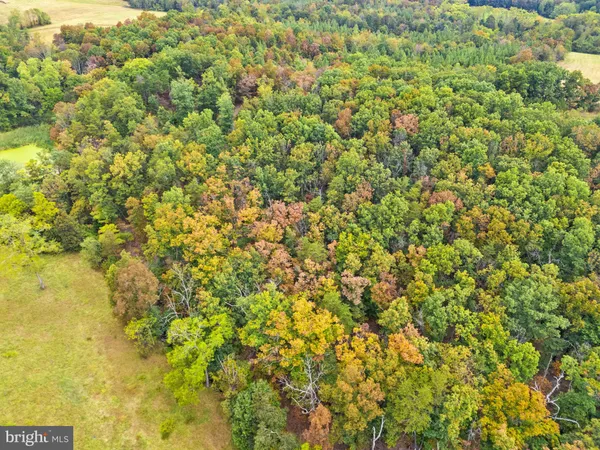 $205,000 | Lot 24-l & 24m Bloomery Pike, Cross Junction, VA 22625