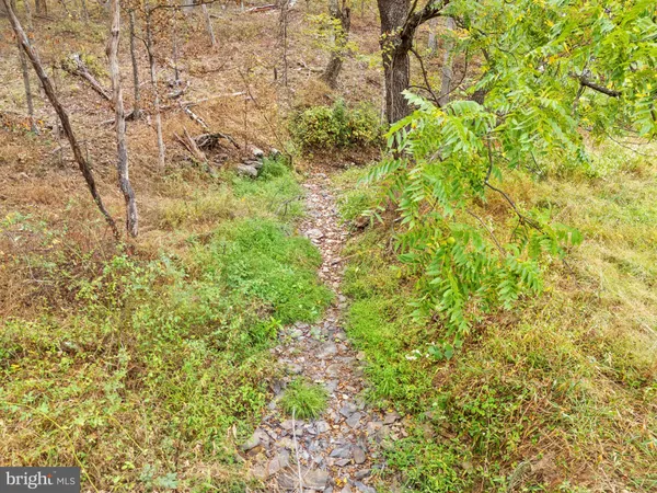 $205,000 | Lot 24-l & 24m Bloomery Pike, Cross Junction, VA 22625