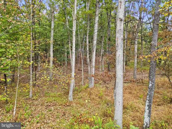 $205,000 | Lot 24-l & 24m Bloomery Pike, Cross Junction, VA 22625