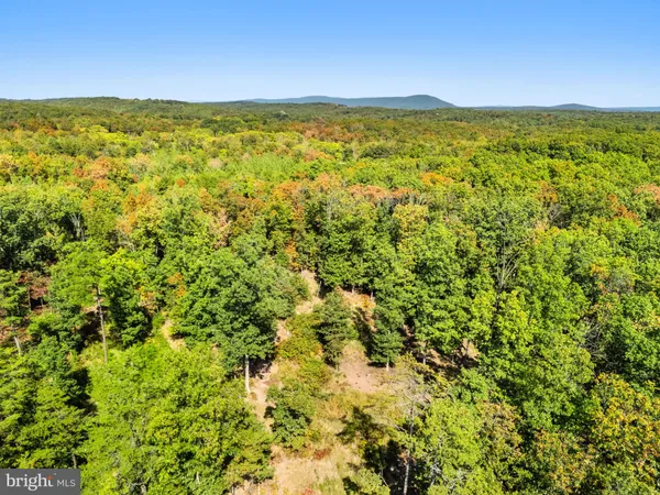 $205,000 | Lot 24-l & 24m Bloomery Pike, Cross Junction, VA 22625