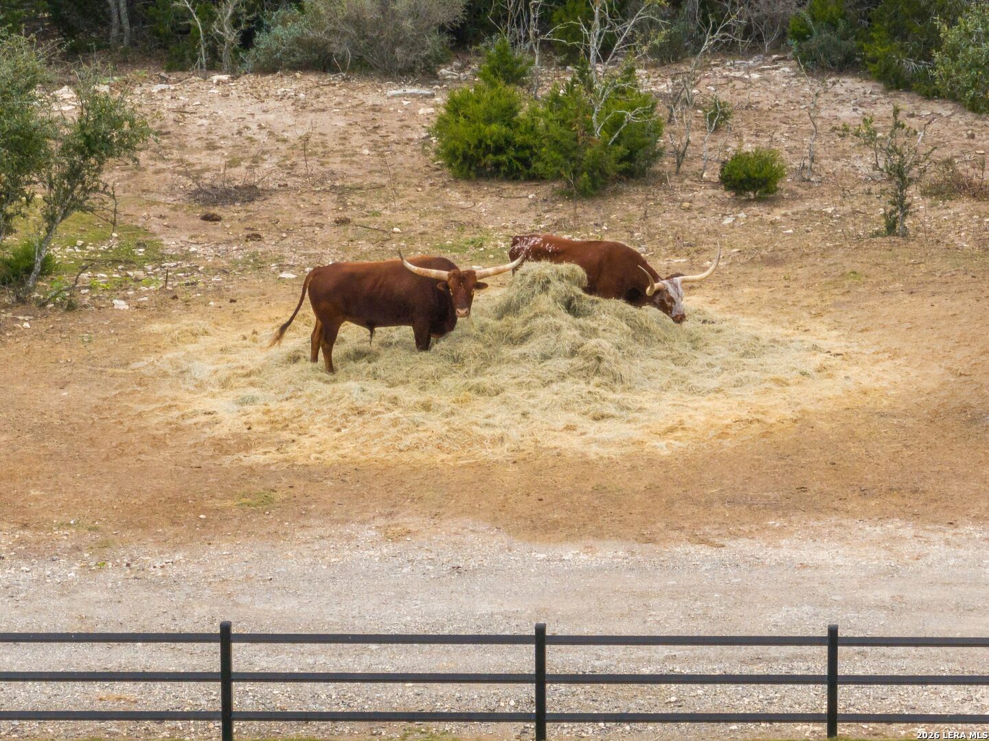 298 Table Rock Helotes, TX 78023 - Photo 55 of 57