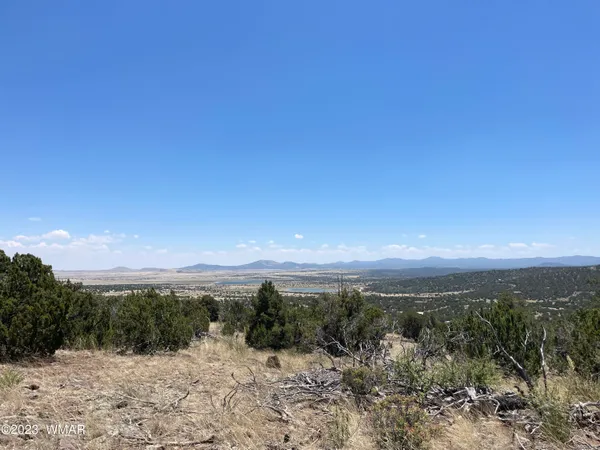 a view of a mountain
