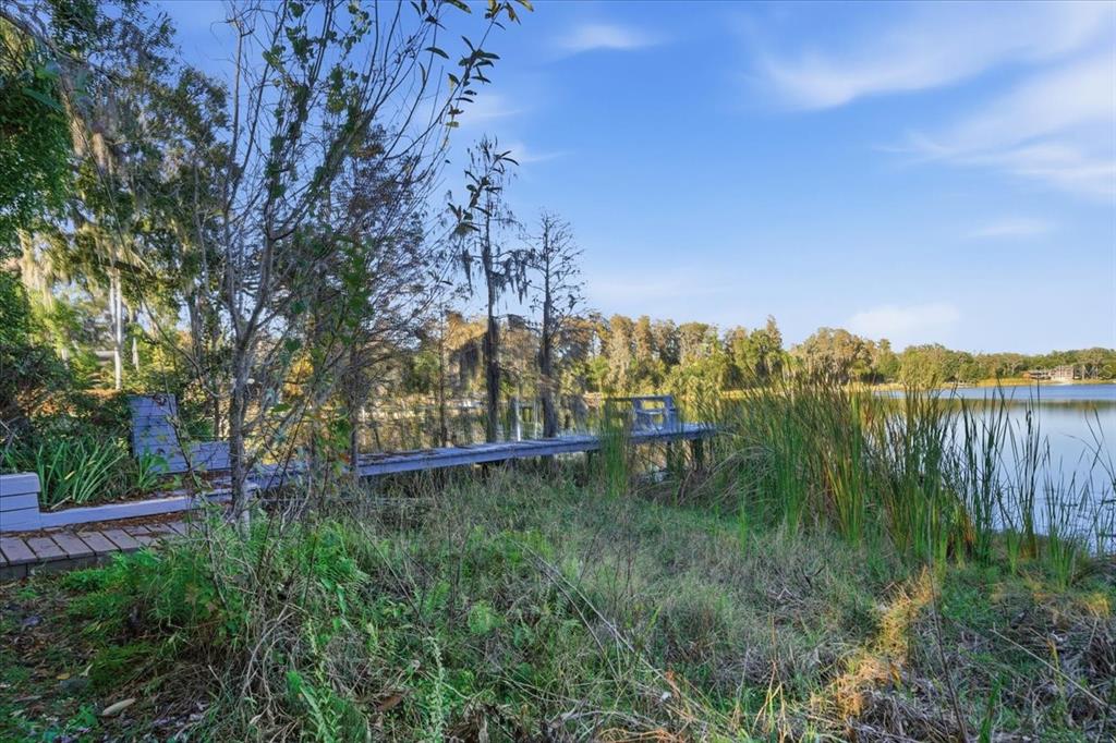16921 Crawley Road Odessa, FL 33556 - Photo 15 of 53