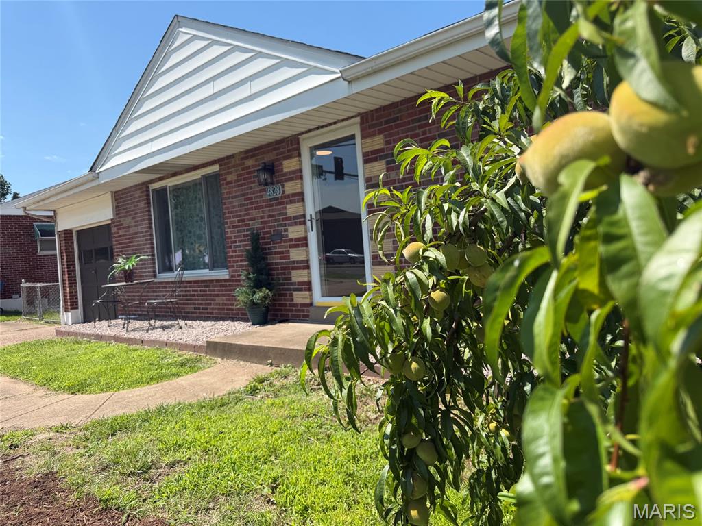 4828 Reavis Barracks Road St. Louis, MO 63123 - Photo 28 of 30