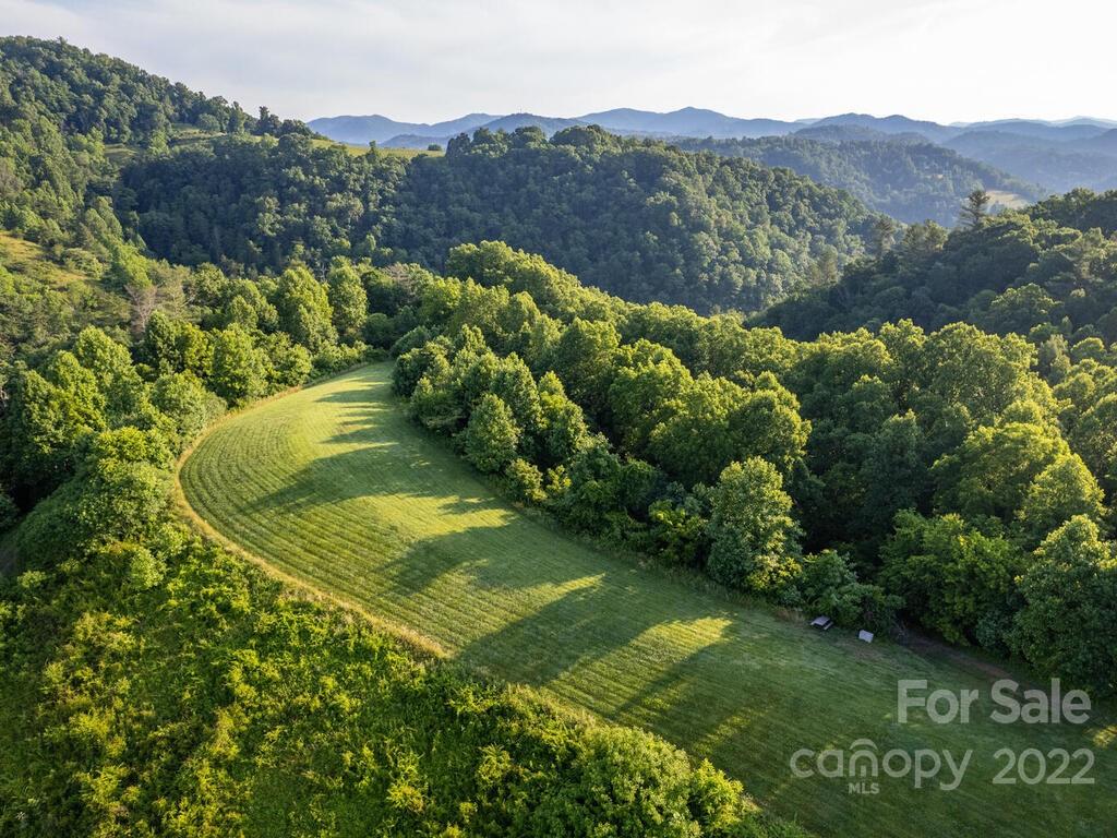 0 Little Pine Road, Unit 2 & 3 Marshall, NC 28753 - Photo 11 of 15 a view of a lush green hillside and a houses