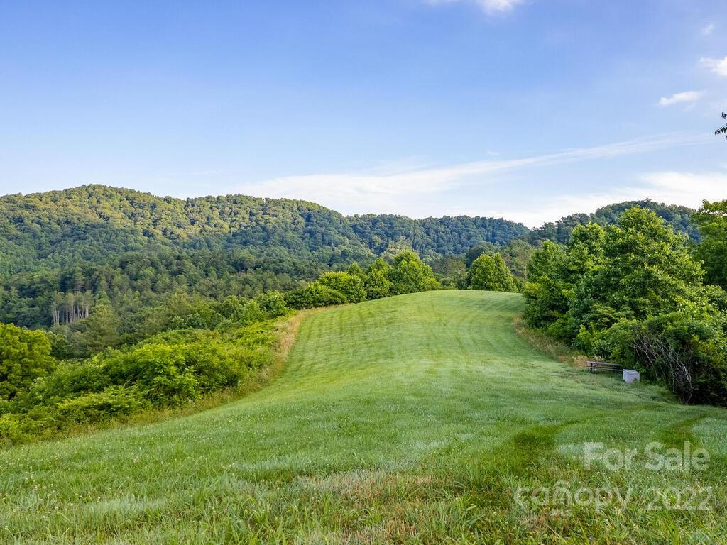 0 Little Pine Road, Unit 2 & 3 Marshall, NC 28753 - Photo 2 of 15 a view of a lush green outdoor space with a lake view