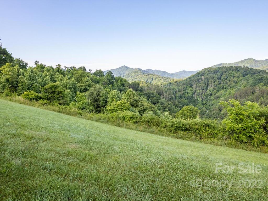 0 Little Pine Road, Unit 2 & 3 Marshall, NC 28753 - Photo 3 of 15 a view of a lush green space with sea
