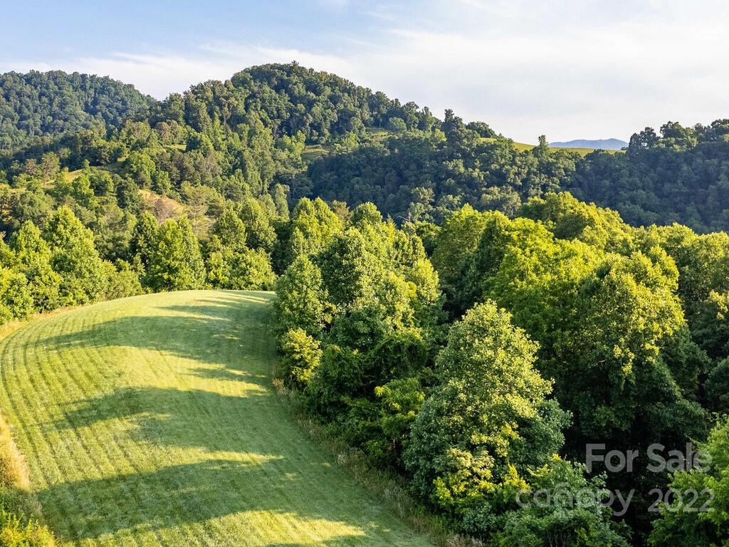 0 Little Pine Road, Unit 2 & 3 Marshall, NC 28753 - Photo 6 of 15 a view of a yard with an outdoor space and seating area