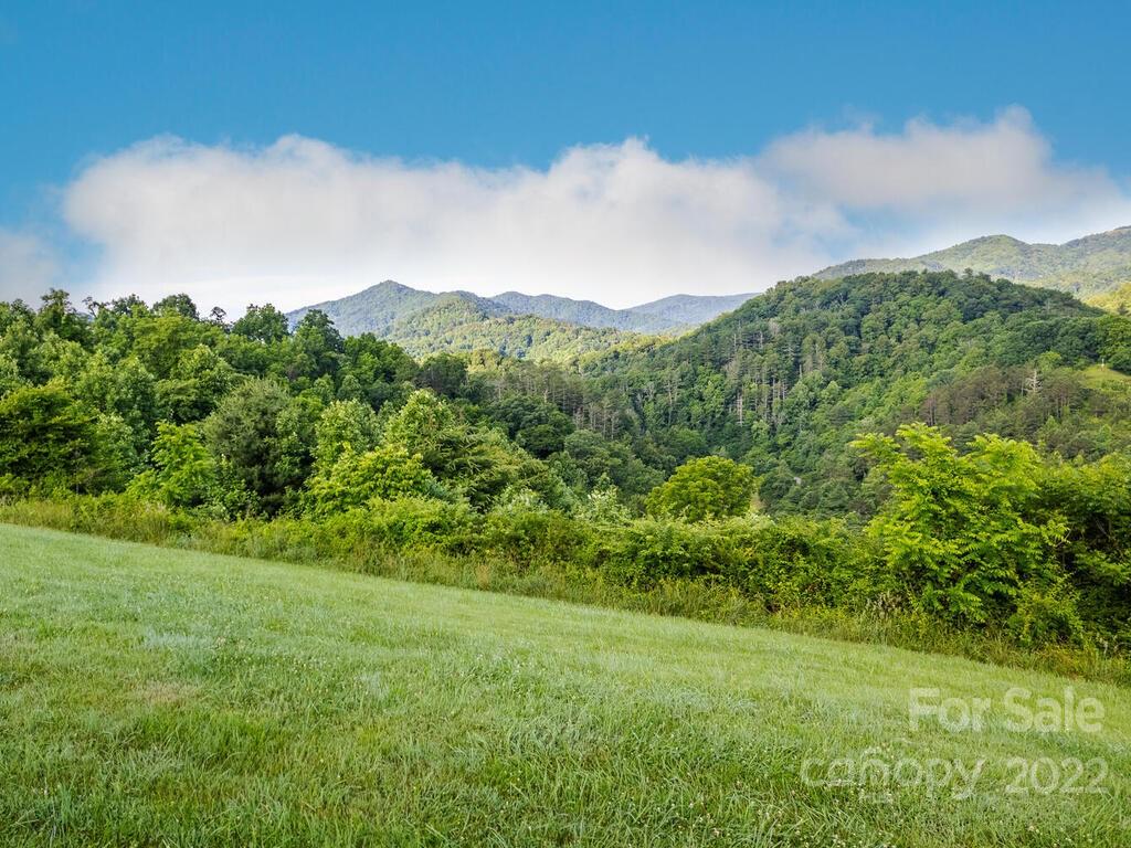 0 Little Pine Road, Unit 2 & 3 Marshall, NC 28753 - Photo 8 of 15 a view of a lush green outdoor space with a lake view