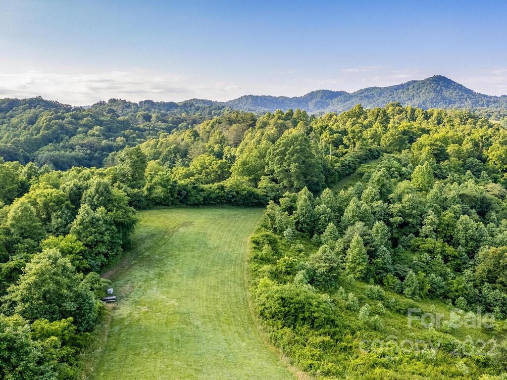 0 Little Pine Road, Unit 2 & 3 Marshall, NC 28753 - Photo 9 of 15 a view of a lush green forest with mountains in the background