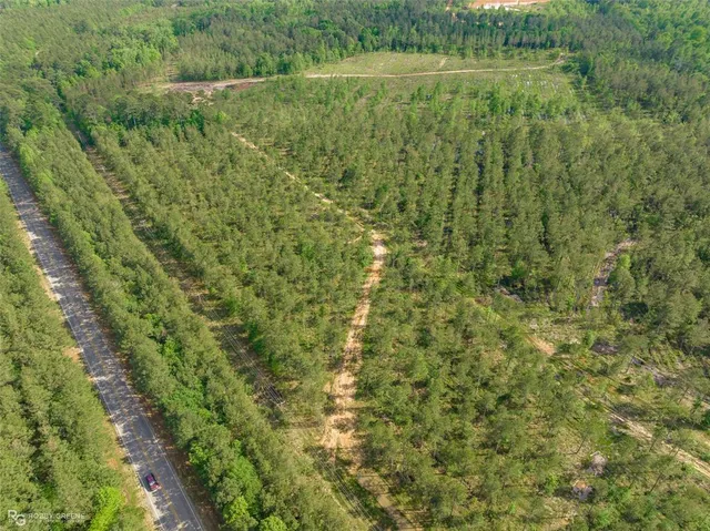 a view of a field with a tree