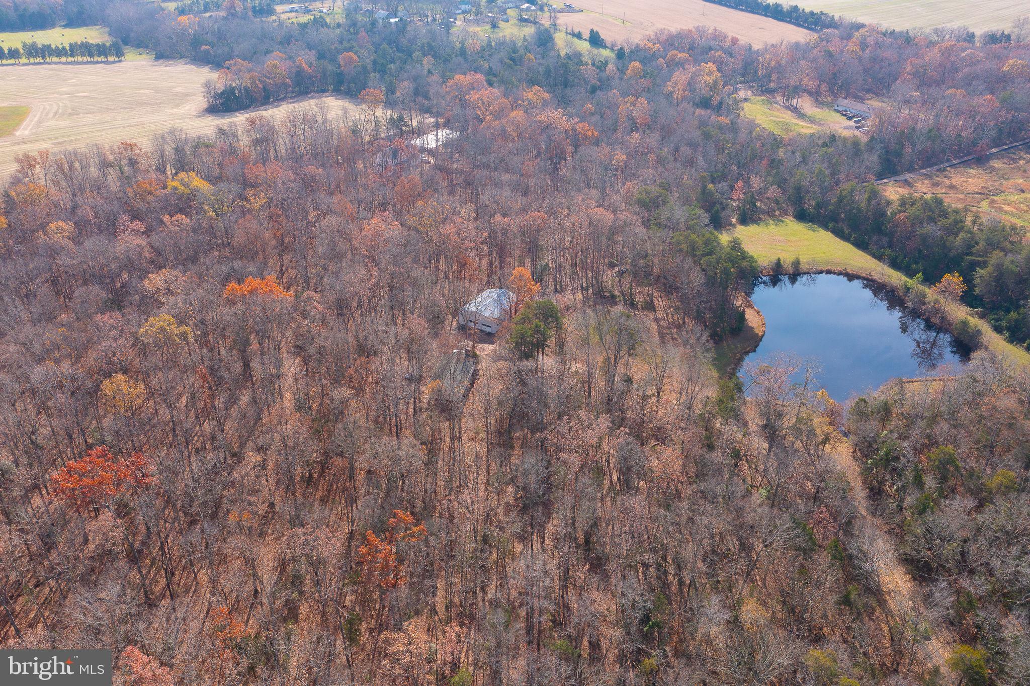 14-acres Shenandoah Path Catlett, VA 20119 - Photo 16 of 17 a view of a yard