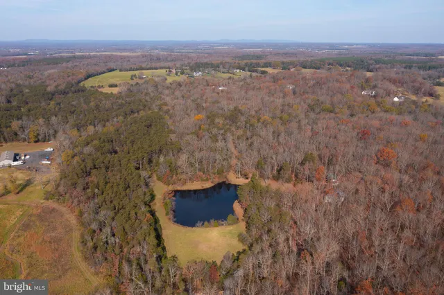 a view of a lake with trees in the background
