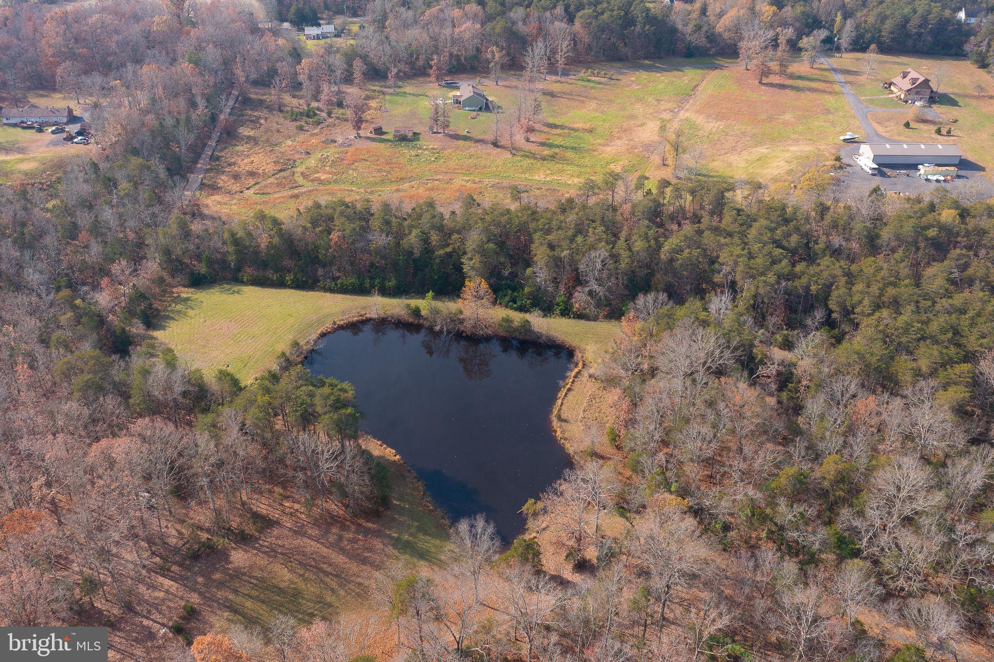 14-acres Shenandoah Path Catlett, VA 20119 - Photo 6 of 17 a view of a lake with trees in the background
