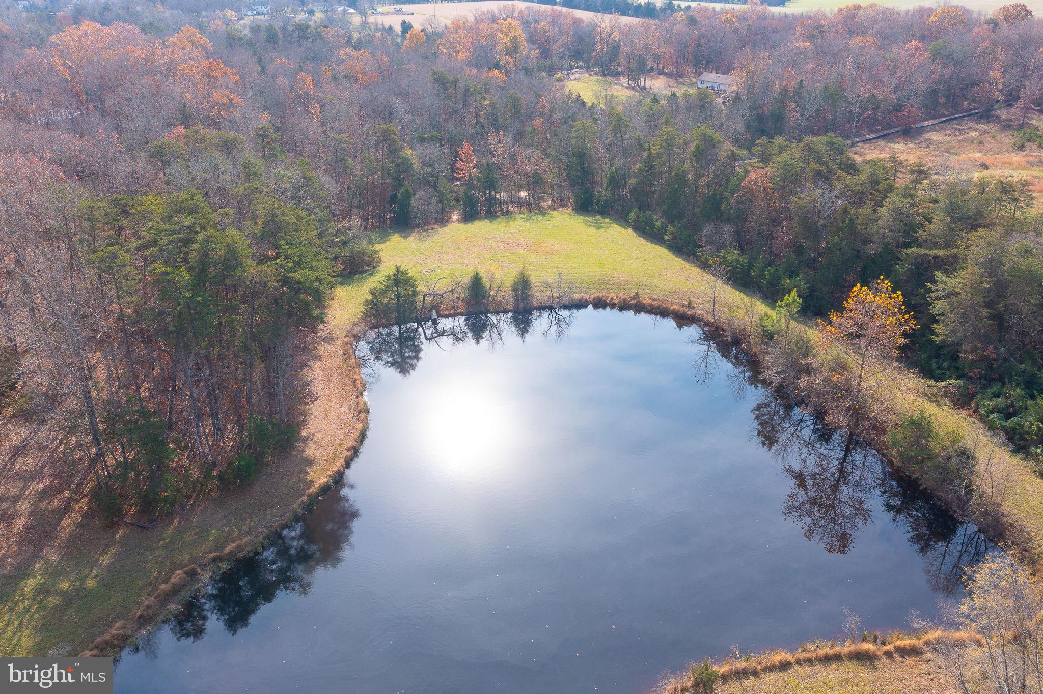 14-acres Shenandoah Path Catlett, VA 20119 - Photo 7 of 17 a view of a swimming pool with a yard
