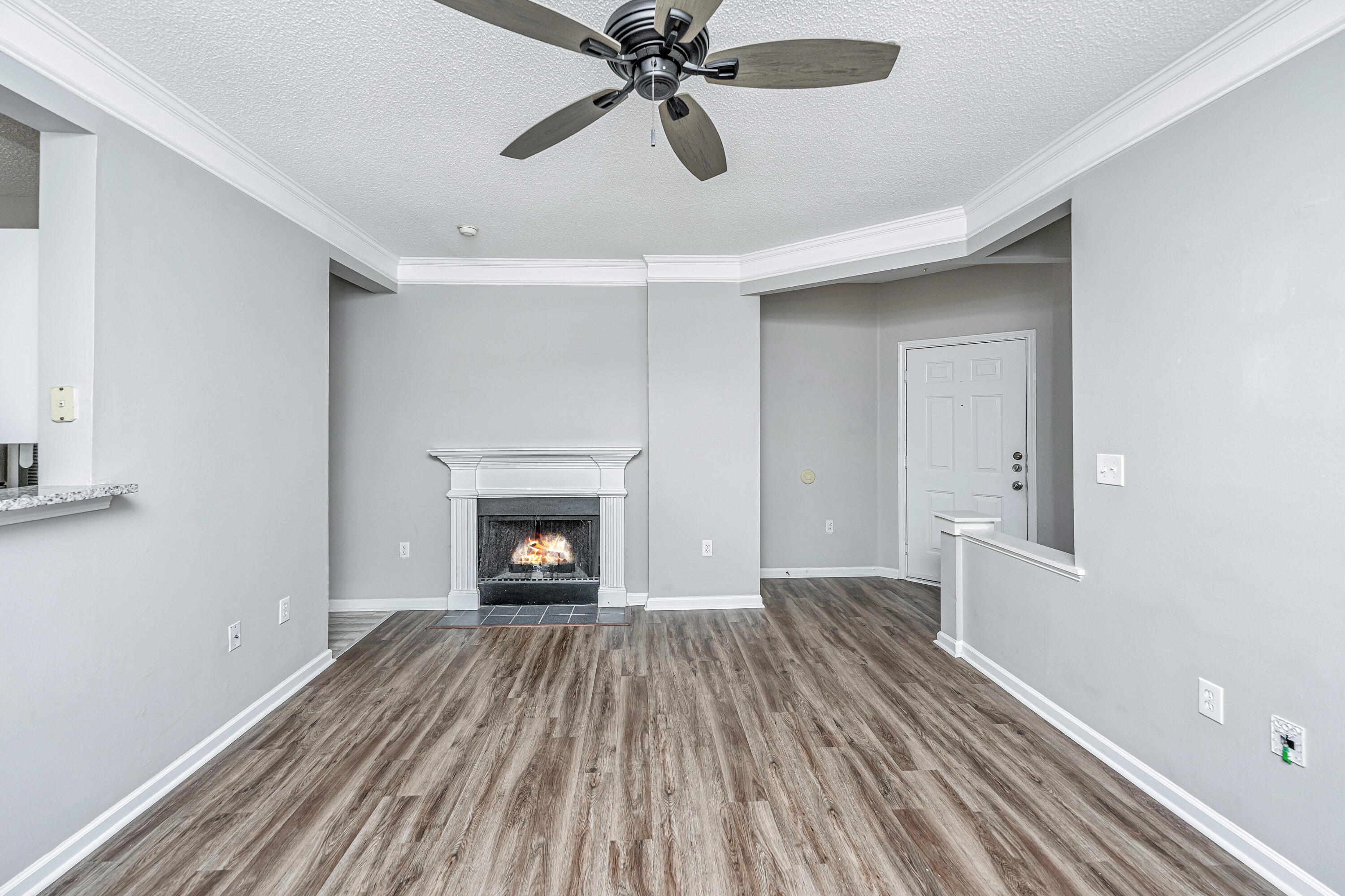 2128 Chatelain Way Mount Pleasant, SC 29464 - Photo 7 of 72 2128ChatelainWay010