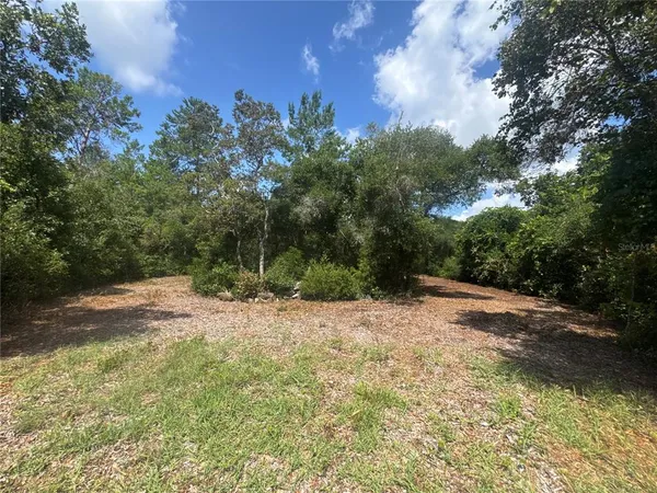 $55,000 | 0 North Circle East, Paisley, FL 32767