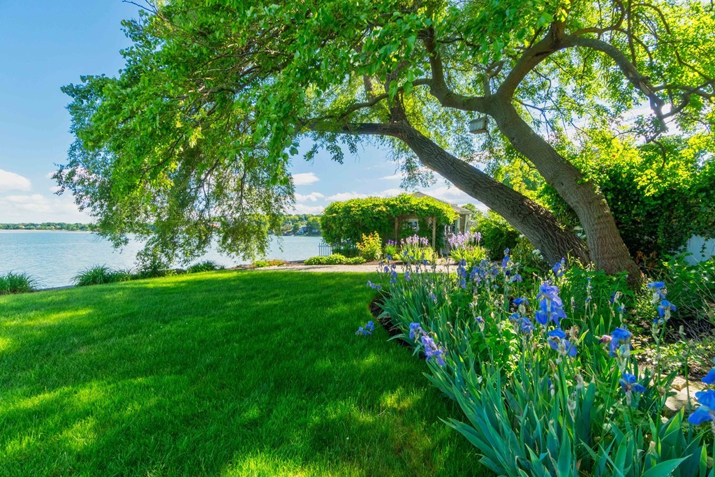 185 Downer Avenue Hingham, MA 02043 - Photo 28 of 30 a view of a garden with a tree
