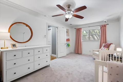 a view of a backyard with a garden and tree