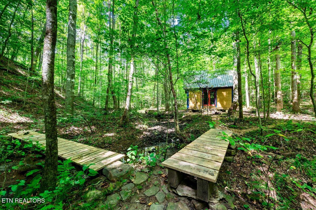 755 Bear Branch Road Wartburg, TN 37887 - Photo 14 of 58 05-DSC_7016-HDR