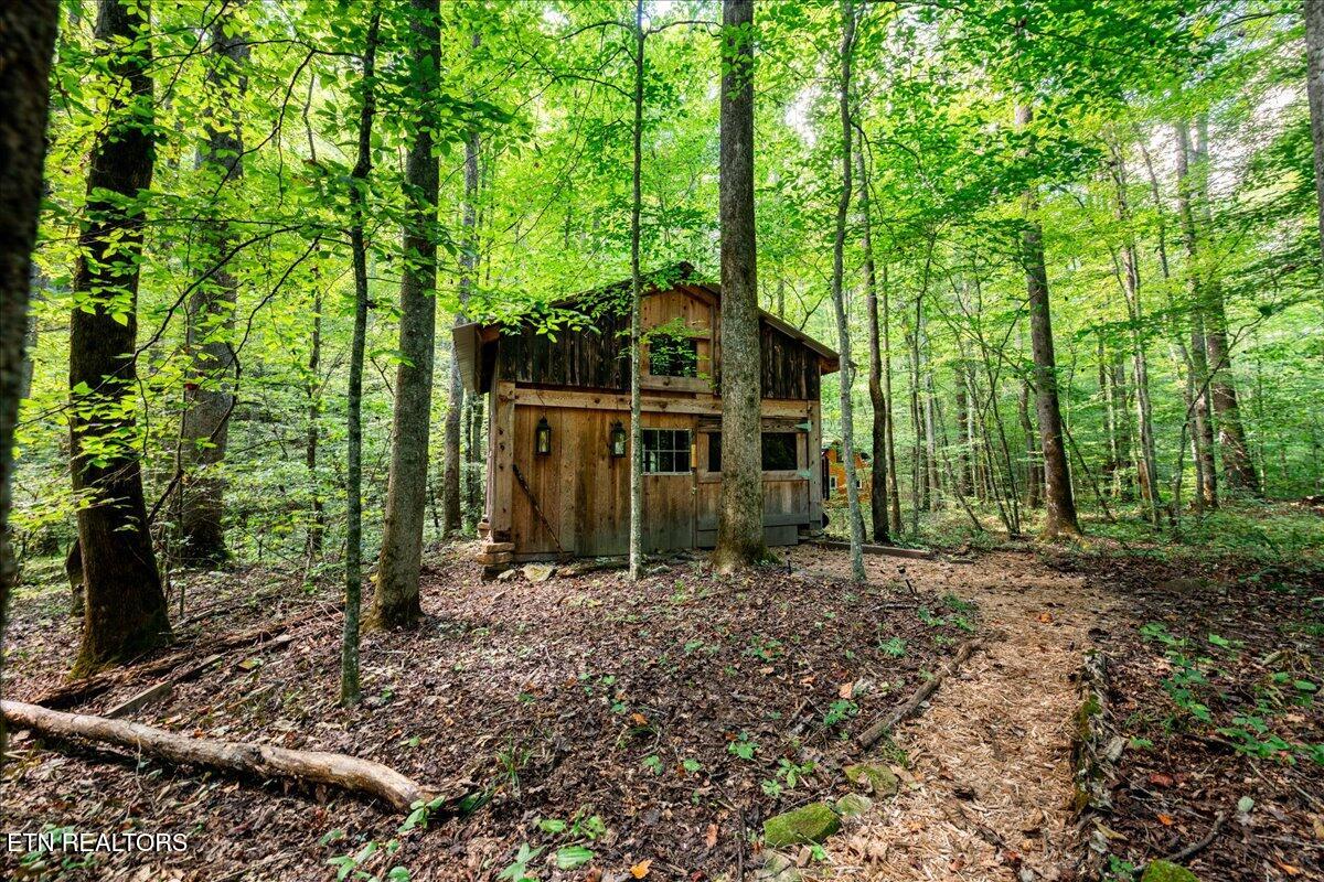 755 Bear Branch Road Wartburg, TN 37887 - Photo 21 of 58 24-DSC_7120-HDR