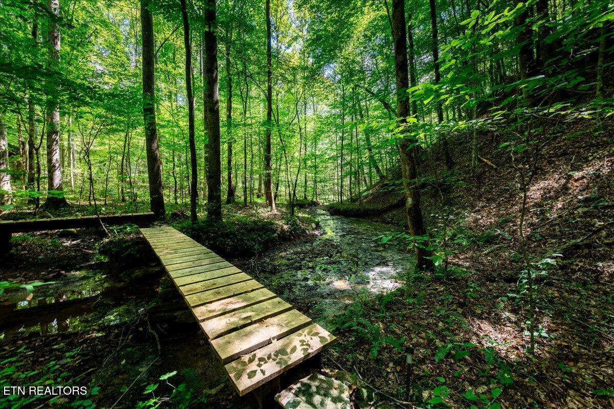 755 Bear Branch Road Wartburg, TN 37887 - Photo 22 of 58 21-DSC_7064-HDR