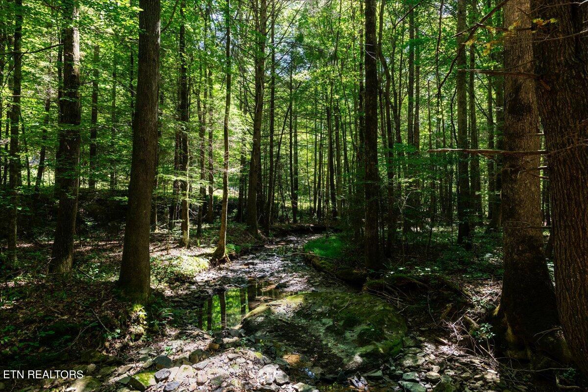 755 Bear Branch Road Wartburg, TN 37887 - Photo 24 of 58 26-DSC_7160-HDR