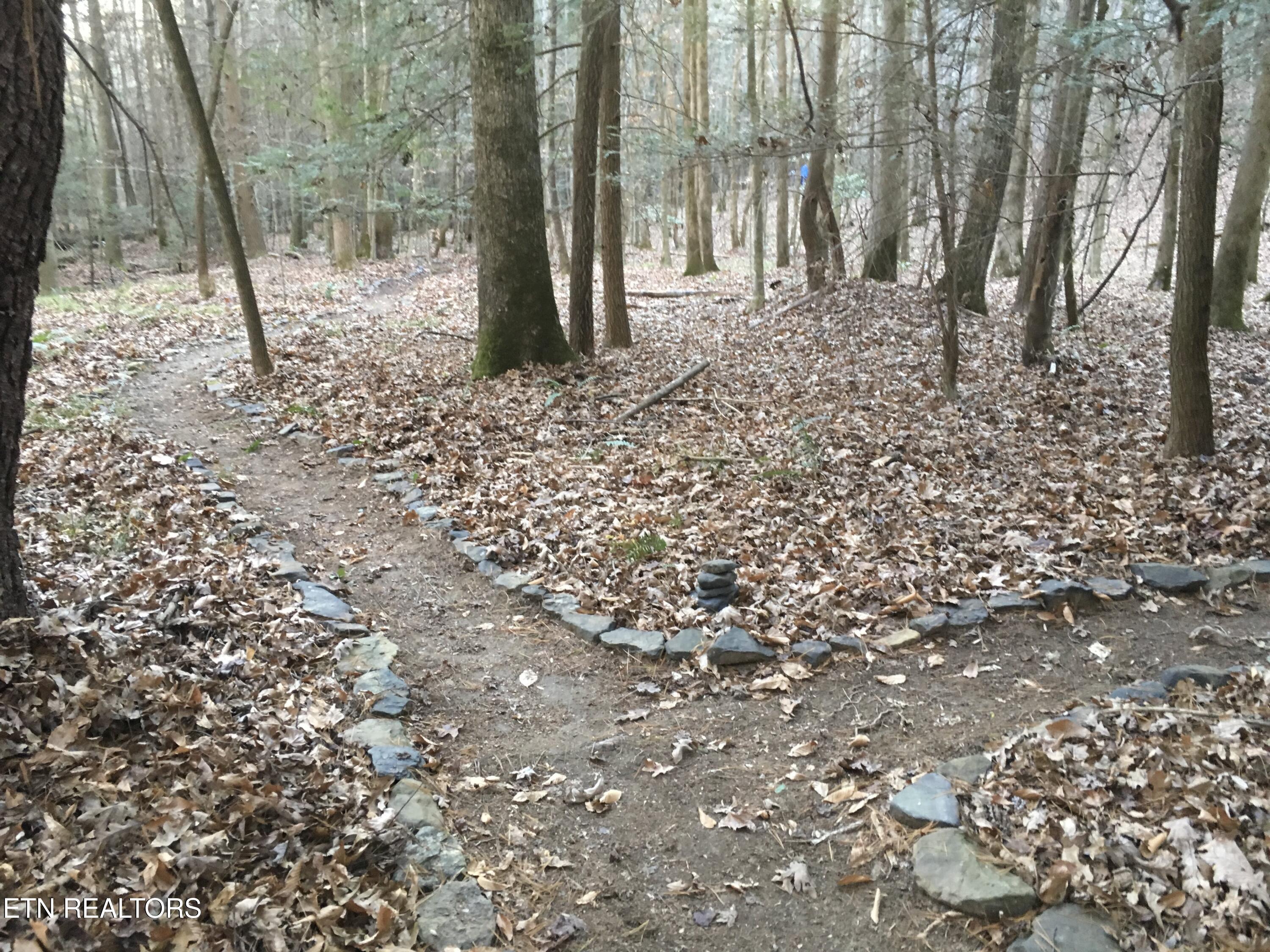 755 Bear Branch Road Wartburg, TN 37887 - Photo 25 of 58 trail 2 - Copy