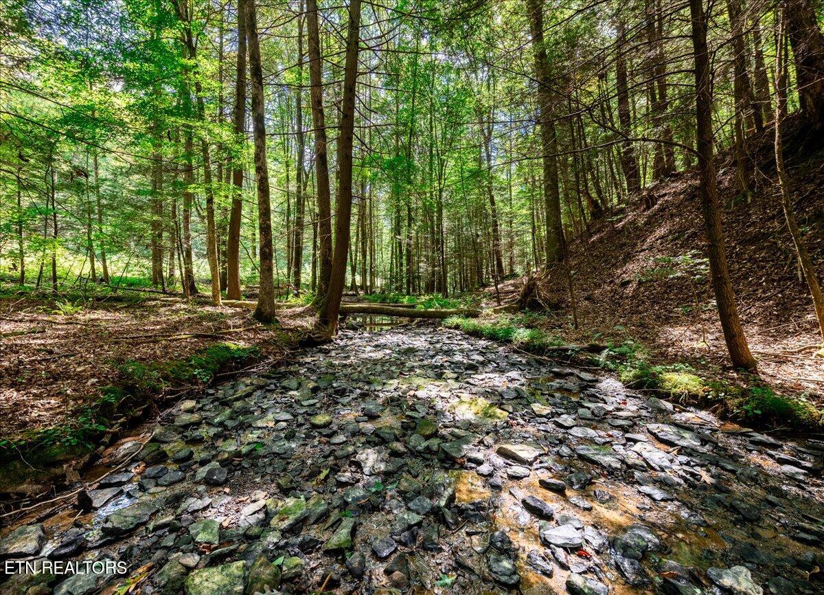 755 Bear Branch Road Wartburg, TN 37887 - Photo 29 of 58 29-DSC_7136-HDR