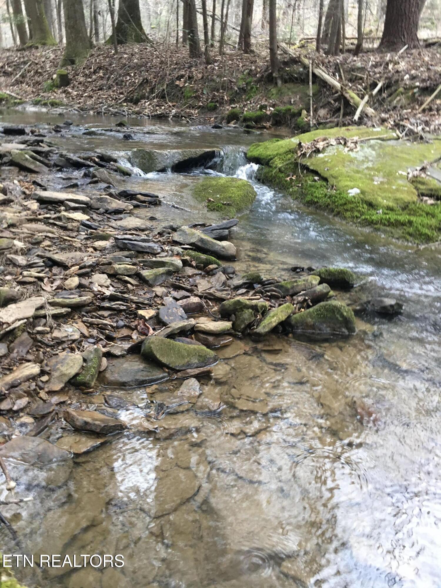 755 Bear Branch Road Wartburg, TN 37887 - Photo 33 of 58 creek 3