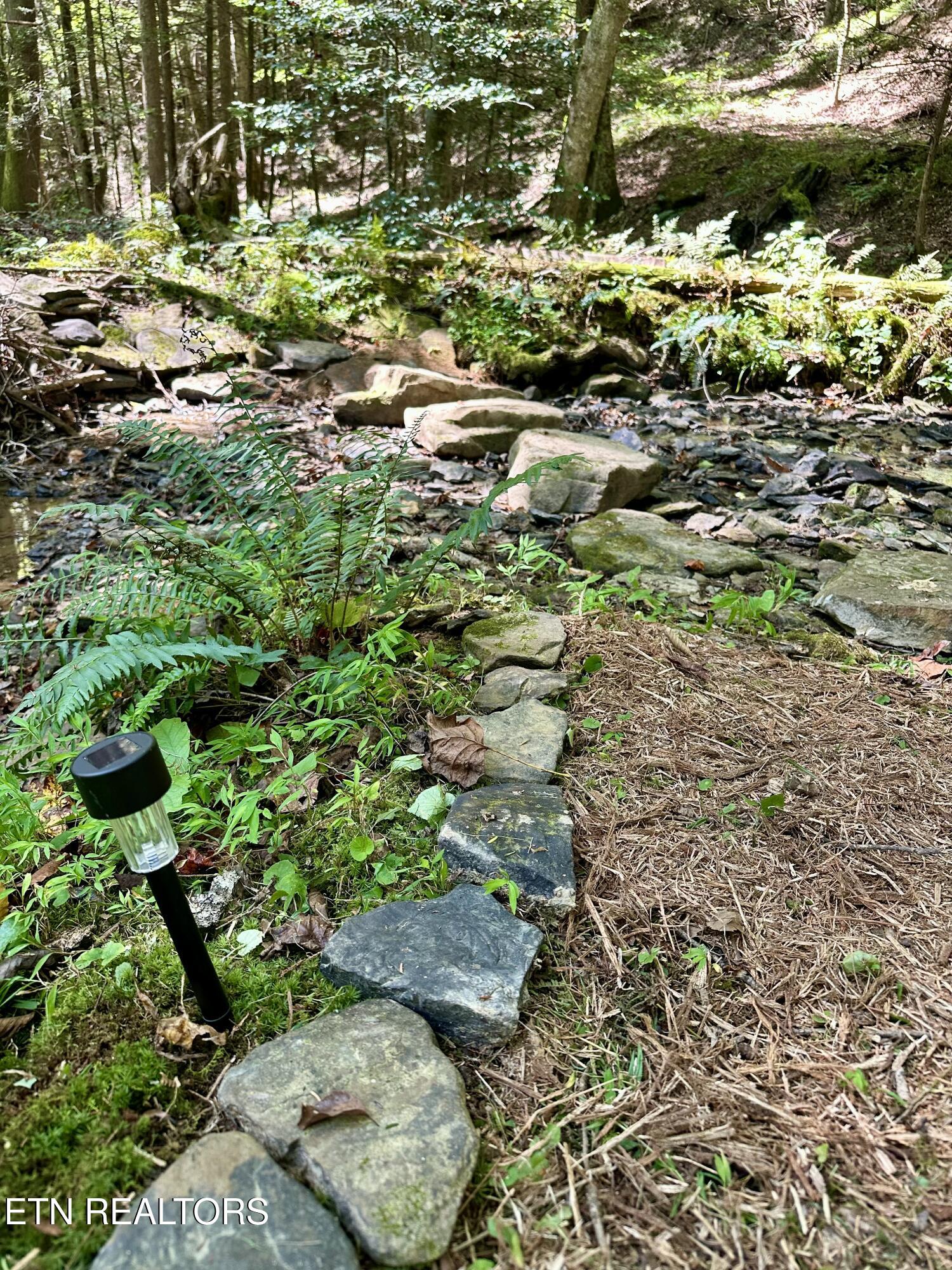 755 Bear Branch Road Wartburg, TN 37887 - Photo 41 of 58 Trail 5