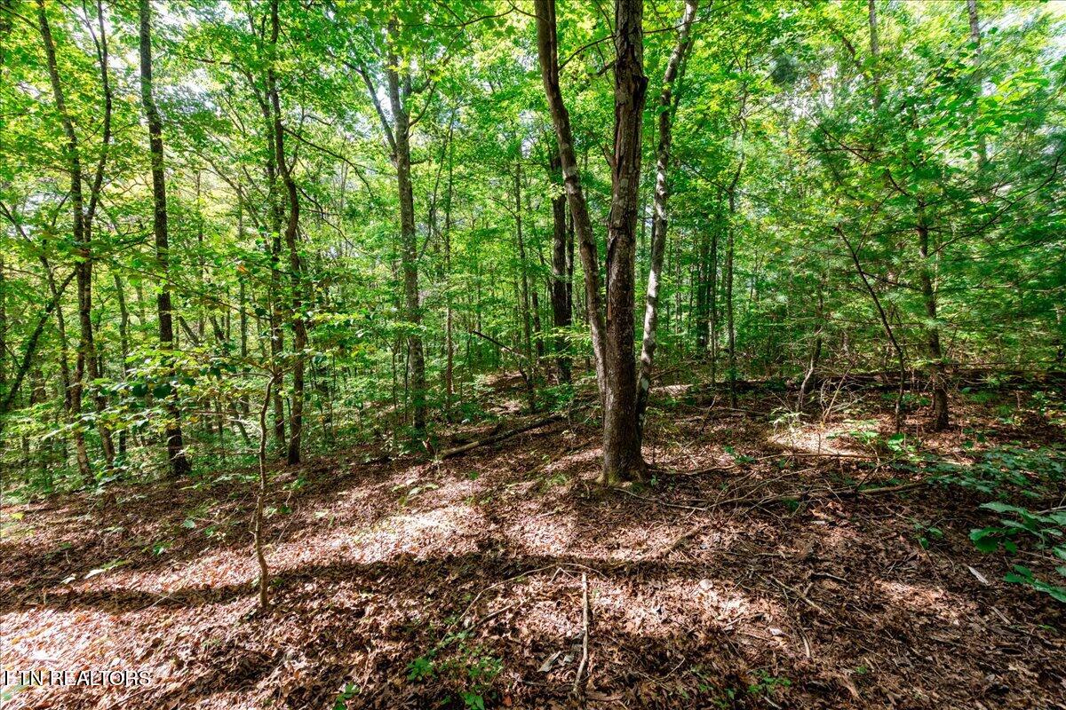 755 Bear Branch Road Wartburg, TN 37887 - Photo 42 of 58 37-DSC_7208-HDR